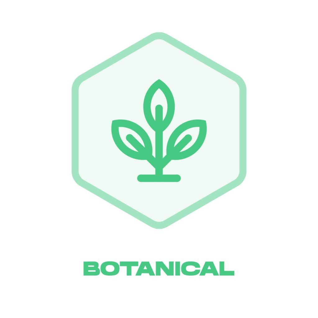 Botanical Icon