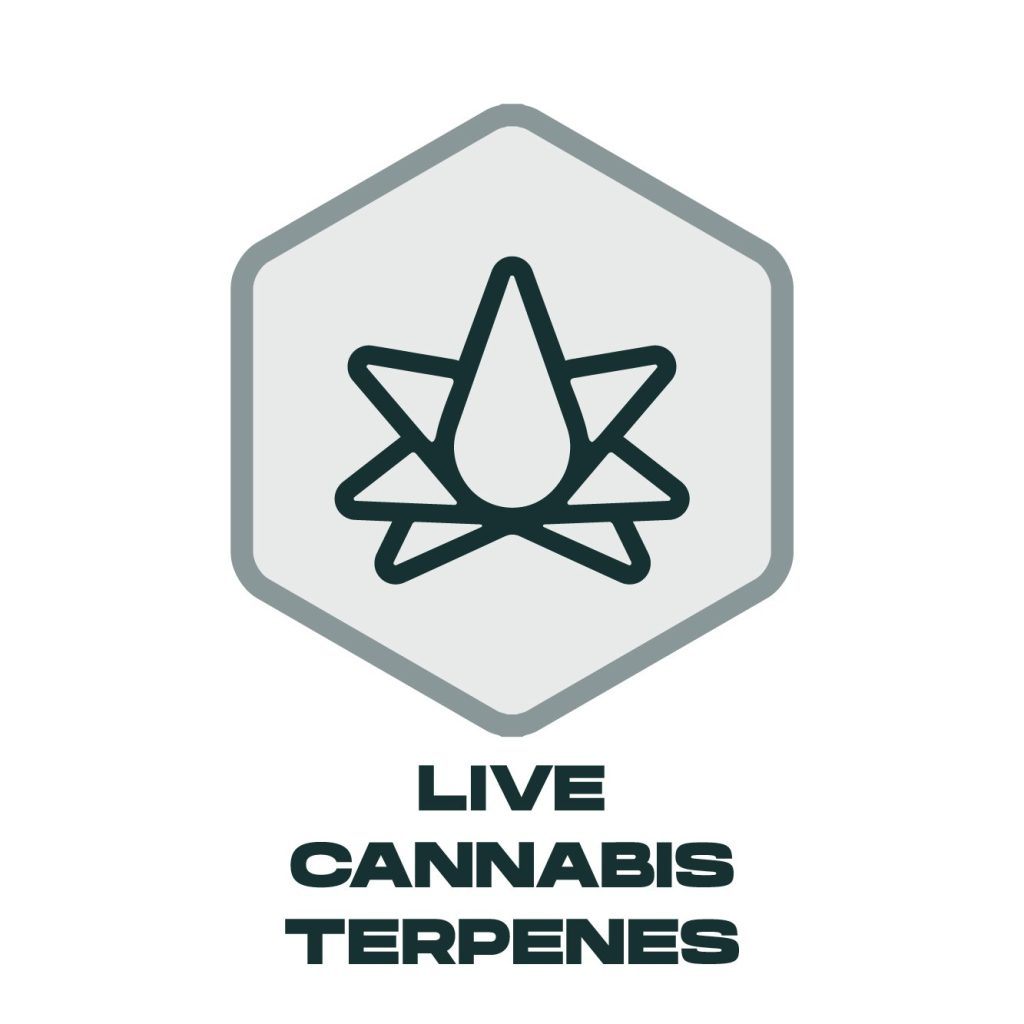 Live Cannabis Icon