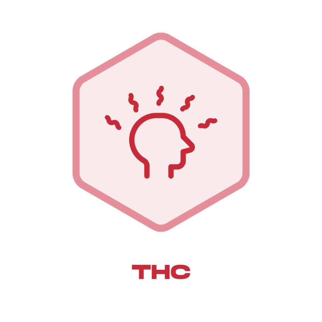 THC Icon